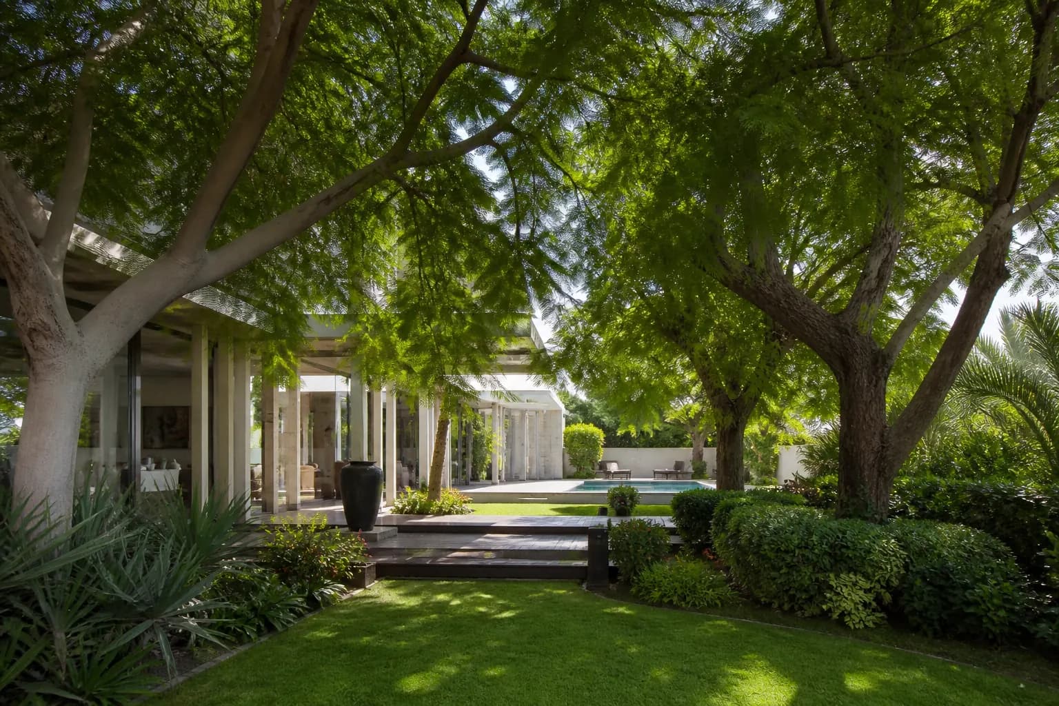Mature shade trees creating a green canopy in a landscaped UAE garden.